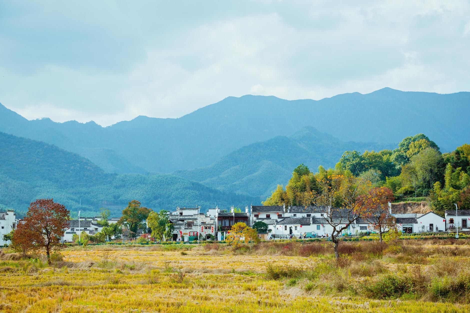 漫步安徽小巷，探寻老城韵味中的独特小店