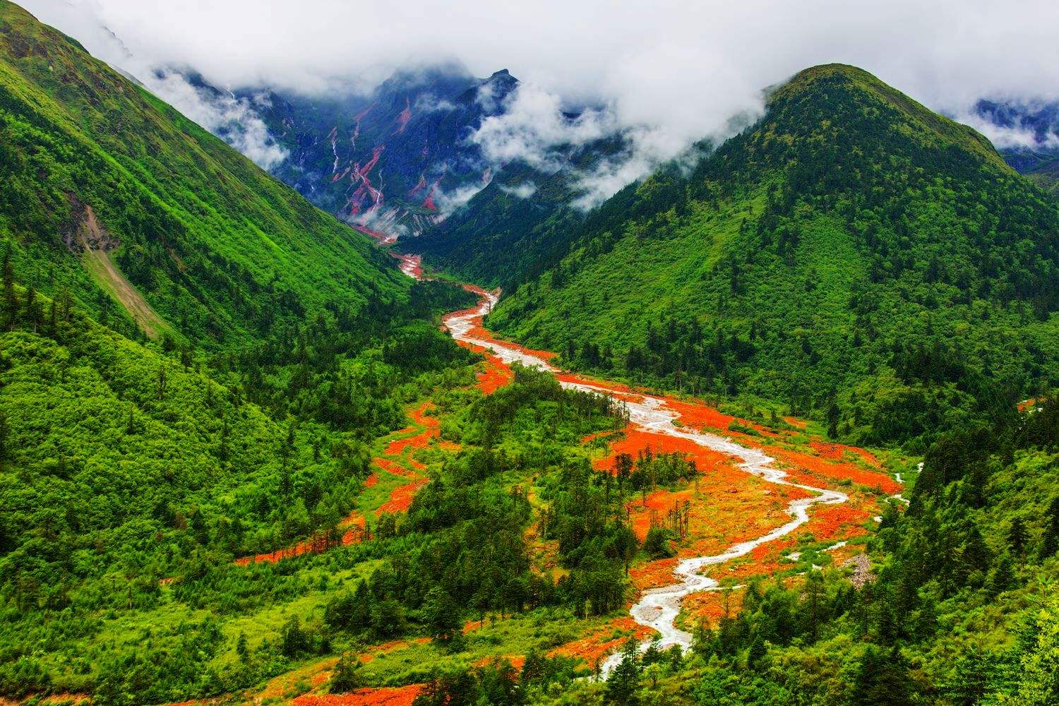 四川，地理、历史与文化的魅力之旅