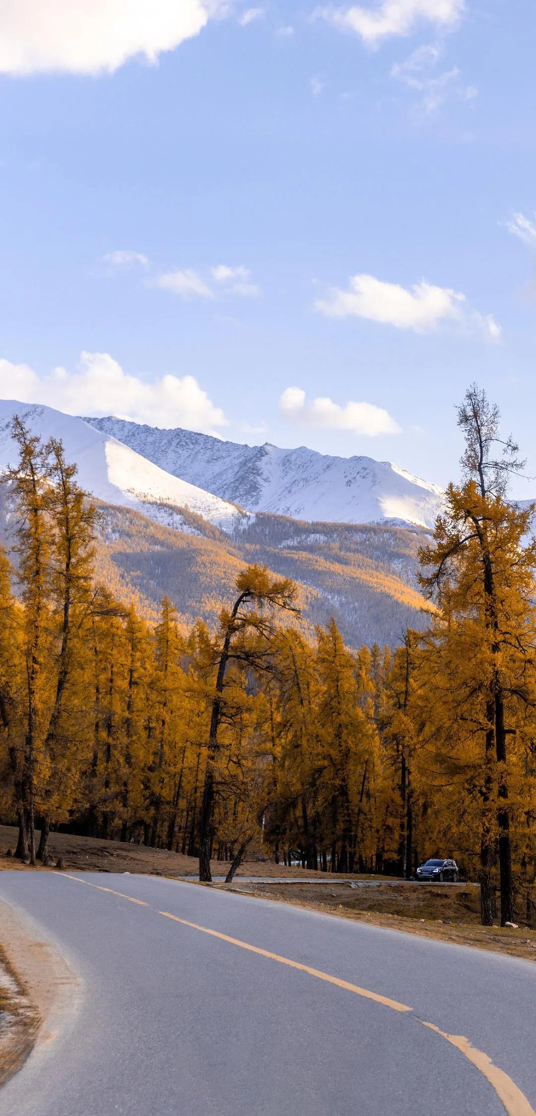 新疆，多元融合之魅力所在