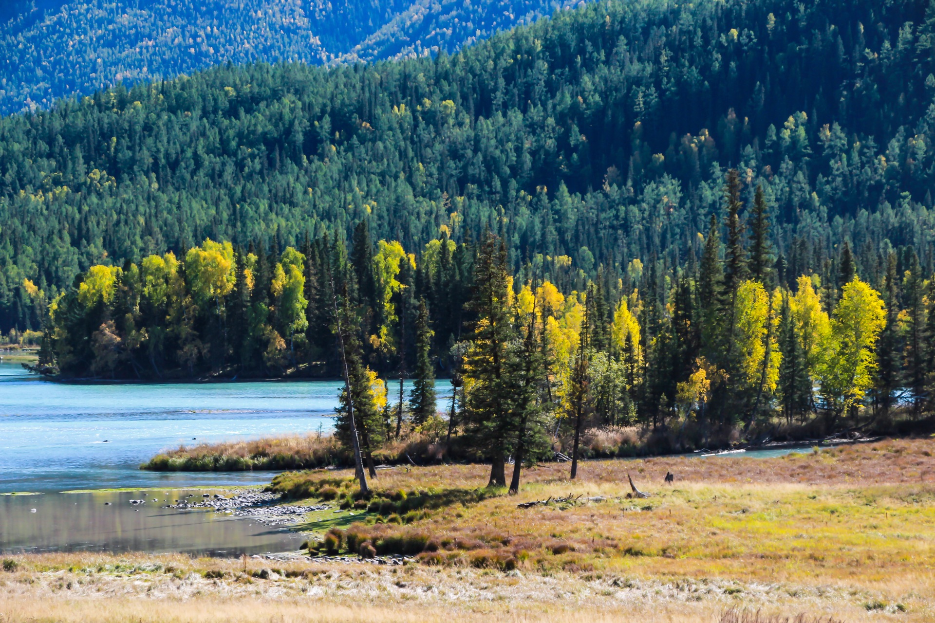探寻新疆,神秘与美丽的土地诱惑🌟