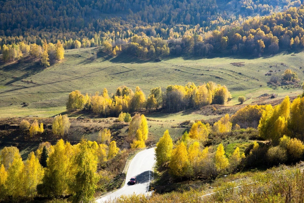 探寻新疆,神秘与美丽的土地诱惑🌟