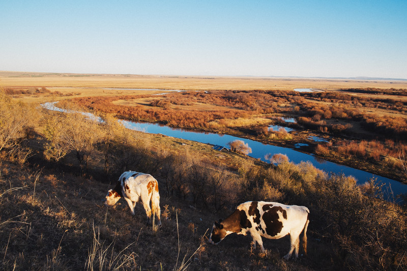 呼伦贝尔之行，深度体验与感悟