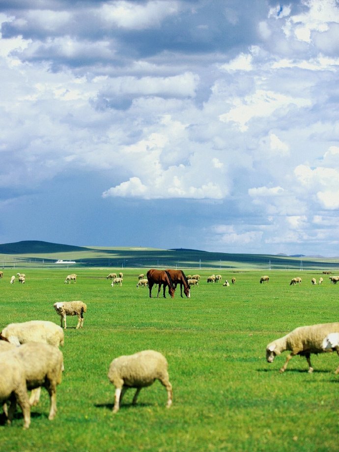 呼伦贝尔，自然画卷与民族瑰宝的交融之地