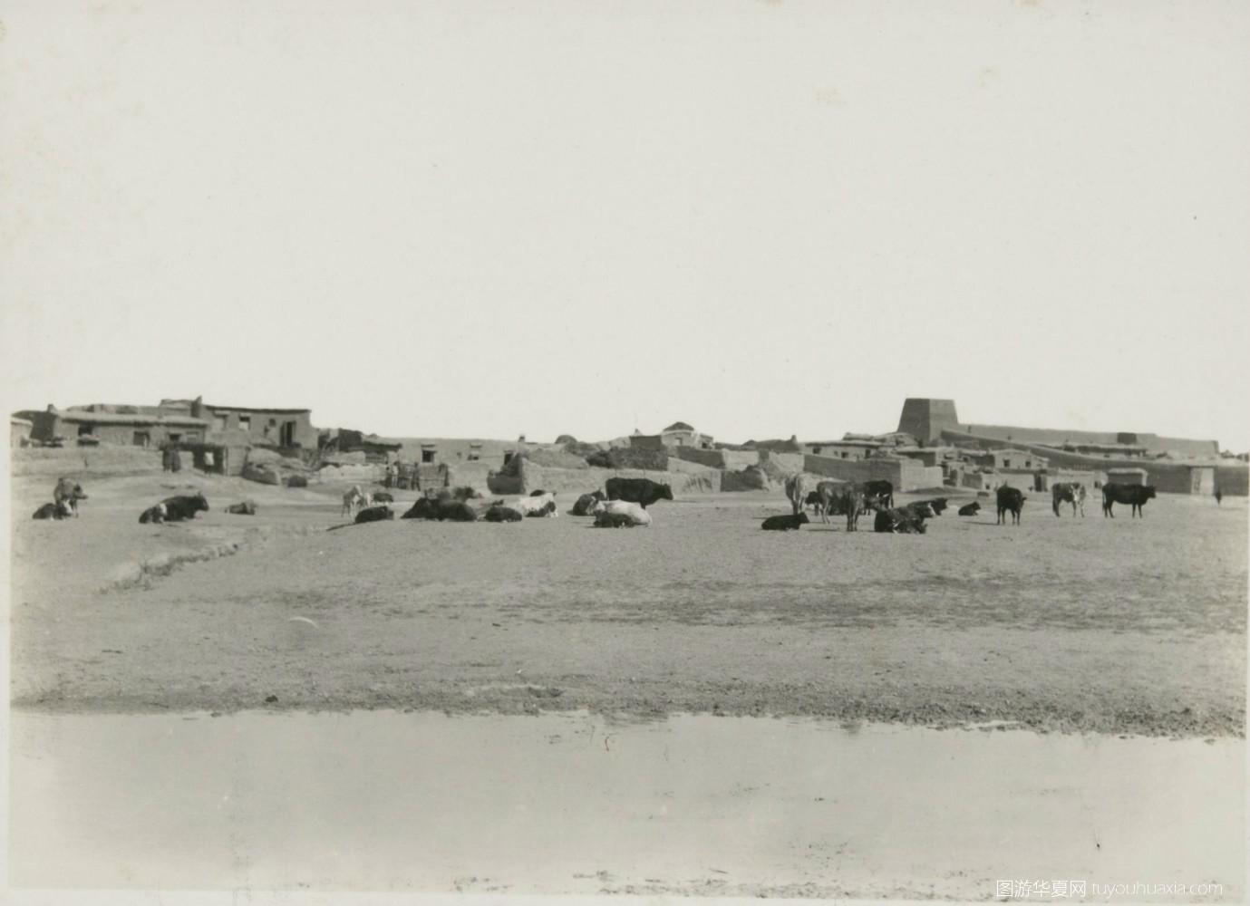 白城科技新品亮相，触摸未来生活