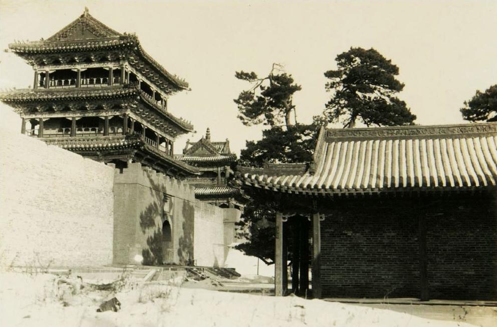 沈阳巷弄深处的隐秘花园小店揭秘